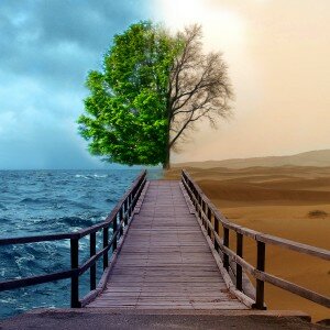 environment_project_01_by_moure