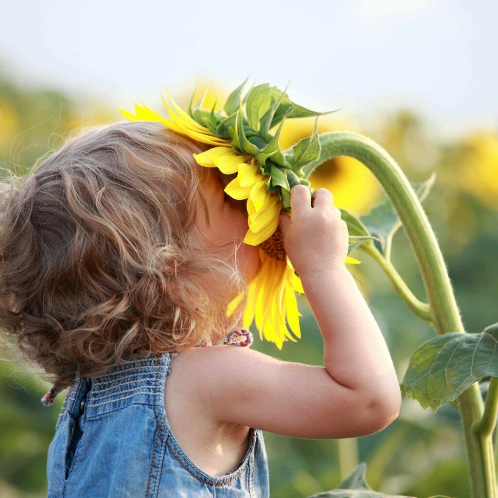Fotolia girl_smelling_sunflower