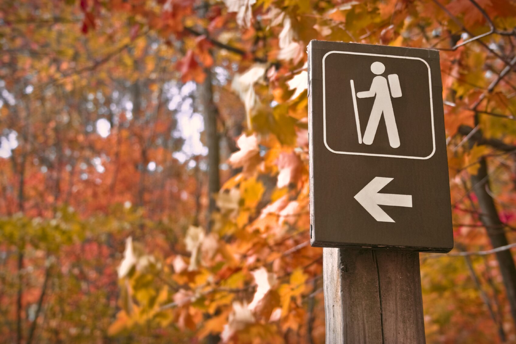 Go hiking