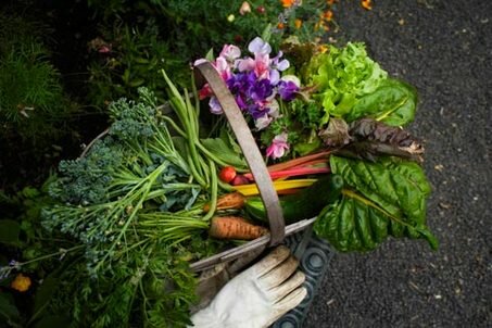 large_wkendg_vegetablesinbasket_large