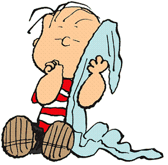 SecurityBlanket