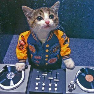 dj-kitty-main