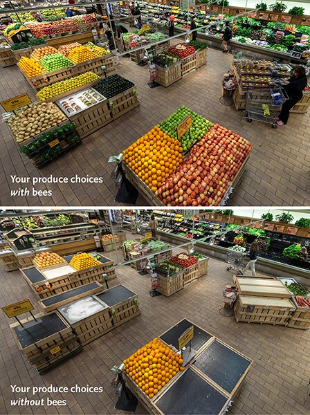 Via: Whole Foods Market