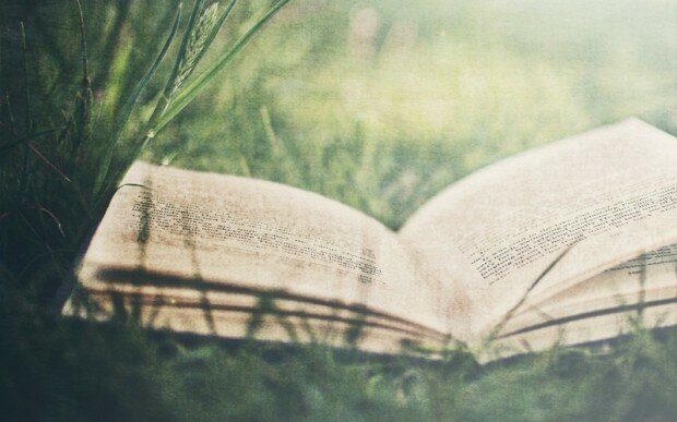 grass books 2560x1600 wallpaper_www.wall321.com_10